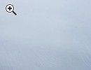Bett 1,402,00m zu verkaufen - Vorschaubild 1