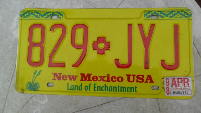 Amerikanisches KFZ-Schild