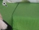 Couch mit Bettkasten - Vorschaubild 1