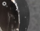 Original Fender Ukulele - Vorschaubild 2