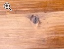 Biete gnstig Bauerntruhe - Vorschaubild 3