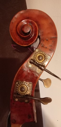 Holsteiner Kontrabass:1930. Holsteiner Kontrabass:1930.